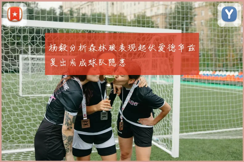 杨毅分析森林狼表现起伏爱德华兹复出或成球队隐患